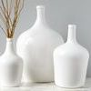 Product Image 2 for White Demijohn from etúHOME