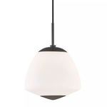 Product Image 1 for Jane 1 Light Large Pendant from Mitzi