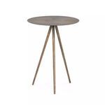 Product Image 8 for Sunburst End Table from Four Hands