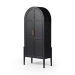 Product Image 19 for Tolle Arched Black Two-Door Cabinet from Four Hands