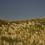 close-up of sandy dune with sparse green grass detail and blue sky background
