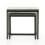 Harlow Nesting End Tables image 4