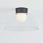 Lakeside Flush Mount illuminated with opaque diffuser glowing inside clear glass bowl