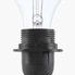 Clear incandescent light bulb on brass socket above beige ceramic lamp base