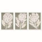 Product Image 1 for Protea Triptych Hand-Embellished Giclees from Napa Home And Garden