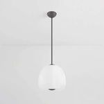 Scranton Pendant with apple-inspired rounded etched glass shade and shiny opal glass core, hanging from metal rod