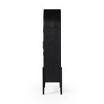 Product Image 46 for Tolle Arched Black Two-Door Cabinet from Four Hands
