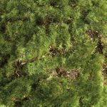 Product Image 5 for Moss Orbs, Set of 2 from Napa Home And Garden