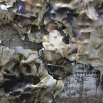 Product Image 3 for Metal World Wall Décor from Moe's