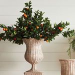 Product Image 4 for Faux Orange Branches , Set Of 2 from Napa Home And Garden