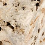 Close-up focusing on porous stone texture with varied beige and gray color variations