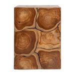 Product Image 5 for Terra Root Teak End Table from Creative Co-Op