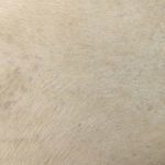 Product Image 8 for Rivers Sling Chair from Four Hands