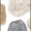 Abstract painting with layered, translucent organic shapes in beige, gray, and brown on a white background framed in black