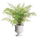 Product Image 9 for Mirabelle Decorative Pedestal Bowl from Napa Home And Garden