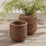 Cachepots styled with green fern placed inside larger pot, shown on wood floor in natural light