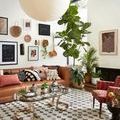 Yeshaia rug styled in living room with leather sofa, glass coffee table, and large leafy plant.