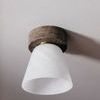 Product Image 2 for Lea Flush Mount from Mitzi