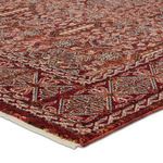 Product Image 2 for Jairus Transitional Oriental Red/ Black Rug - 4' x 6' from Jaipur 