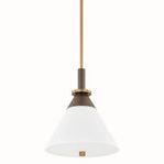 Product Image 1 for Staton Pendant from Troy Lighting