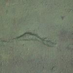 Close-up highlighting raised textured ridge and fine granular paint texture on the green canvas