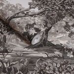Product Image 3 for Bodenham Etching Charcoal Wallpaper from Graham & Brown