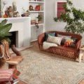 Malik Natural Multi Rug styled in a bright modern living room with a terracotta sofa and indoor plants