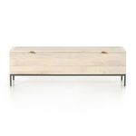 Product Image 8 for Trey Trunk from Four Hands