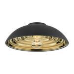 Product Image 1 for Eclipse Flush Mount from Troy Lighting