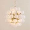 Product Image 4 for Antoneta Chandelier from Mitzi