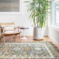 rug displayed in a bright room with wood flooring, next to a wooden chair, side table, and tall potted plant