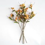 Product Image 2 for Crabapple Stems, Set of 6 from Napa Home And Garden