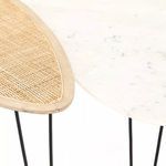 Product Image 11 for Warrington Nesting Coffee Table from Four Hands