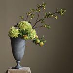 Product Image 4 for Mophead Hydrangea Stems , Set Of 4 from Napa Home And Garden