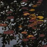 Product Image 4 for Echo by Shade Degges - Vertical Grain 2.5 White Oak from Four Hands