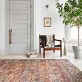 Layla Spice Marine Rug in bright room with wooden chair, gray door, large plant, and light wood flooring