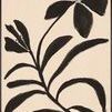 30x45 botanical canvas painting featuring bold black abstract floral forms on a soft neutral background
