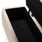 Product Image 19 for Ramsey Performance Boucle Trunk from Four Hands