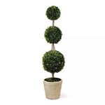 Product Image 1 for Boxwood 59" Triple Ball Topiary from Napa Home And Garden