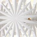 Close-up view of a single white palm frond with visible light bulb inside chandelier