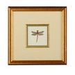 Product Image 1 for Miniature Dragonfly II Artwork from Chelsea House