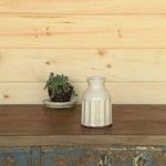 Avi Vase displayed on wooden surface with potted succulent plant and light wood panel background