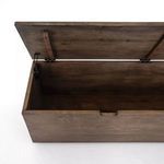 Product Image 10 for Duncan Trunk from Four Hands