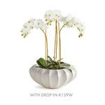 Product Image 4 for Blecklyn Decorative Bowl from Napa Home And Garden