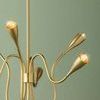 Side detail of Anaise chandelier arms with glowing bulbs and central clasp on aged brass finish