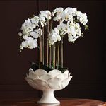 Product Image 3 for Di Rosa Grande Footed Decorative Bowl from Napa Home And Garden