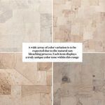 Product Image 21 for Blanco Coffee Table Bleached Burl from Four Hands