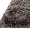 Product Image 1 for Caspia Charcoal Rug from Loloi