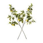 Product Image 4 for Faux Lemon Branches , Set Of 2 from Napa Home And Garden
