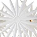 Close-up centered view on one large white palm frond shape with light bulb behind it